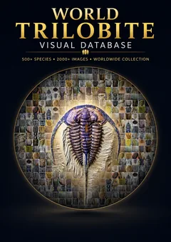 Trilobite fossil art for designers