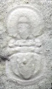 Ammagnostus laiwuensis — photo 12