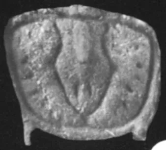 Clavagnostus calensis