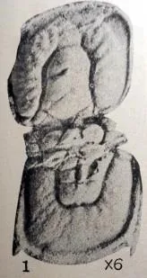 Corrugatagnostus jiangshanensis