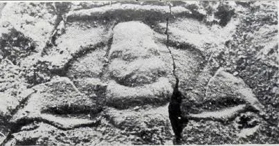 Hongshiyanaspis yiliangensis