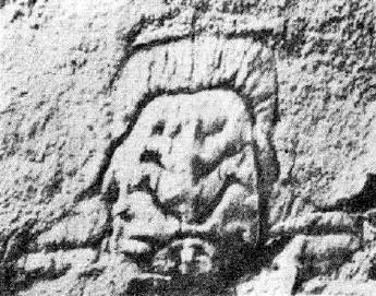 Hypermecaspis asiatica