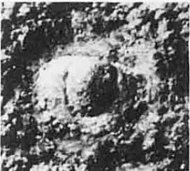 Lisogoragnostus minor