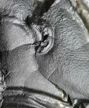 Olenus sp. — photo 2