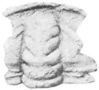 Wutingaspis malungensis